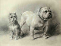 Illustrated Dog Book 2 079 Vintage Illustration A4 Photo Print