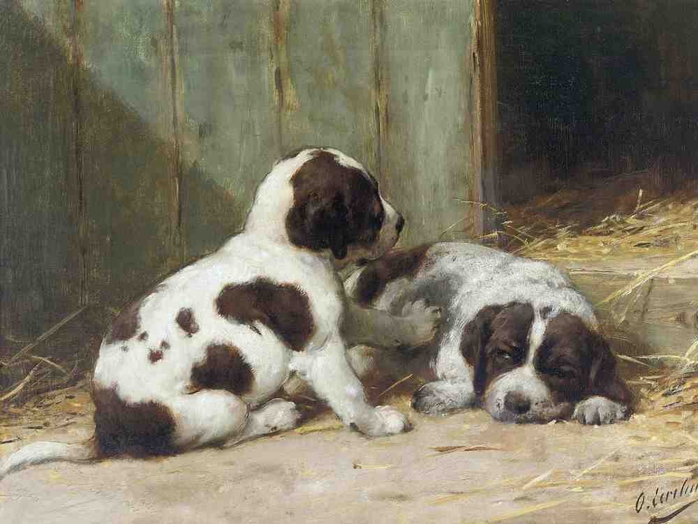 Illustrated Dog Book 2 080 Vintage Illustration A4 Photo Print