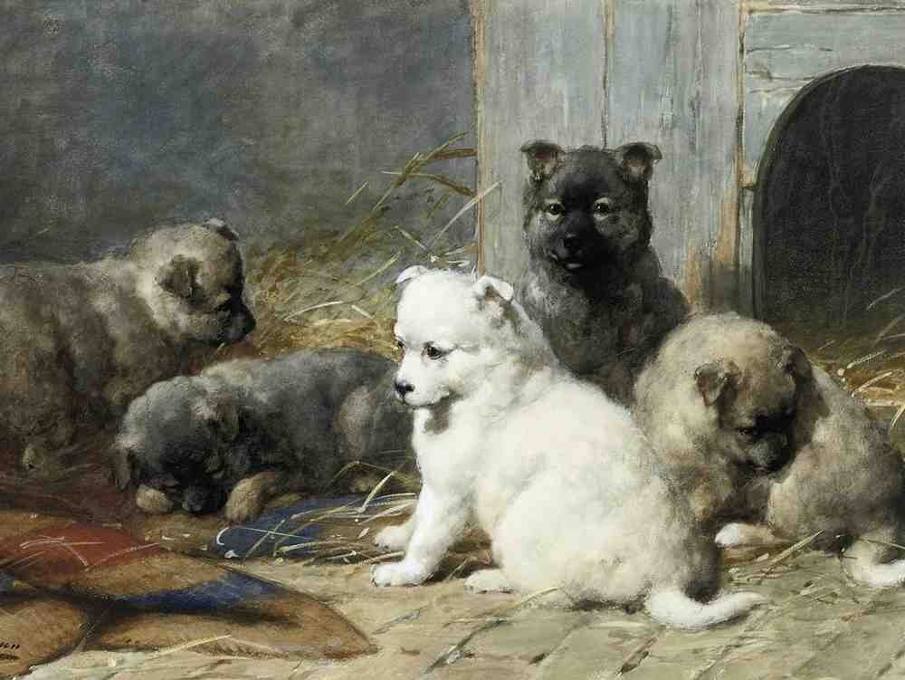Illustrated Dog Book 2 082 Vintage Illustration A4 Photo Print