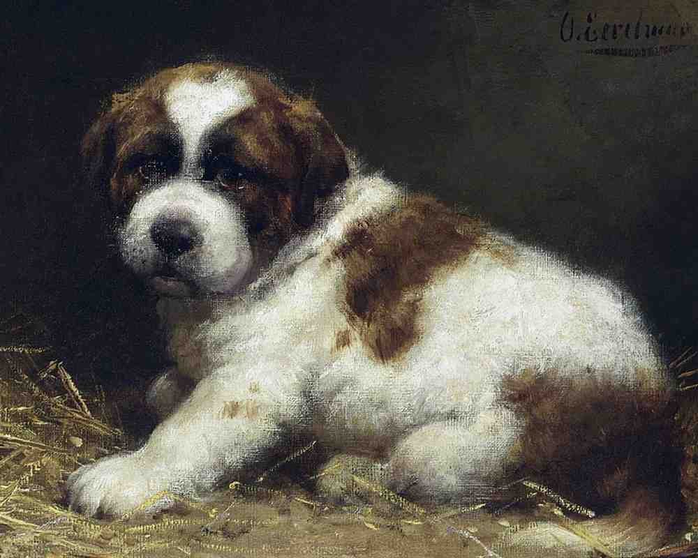 Illustrated Dog Book 2 083 Vintage Illustration A4 Photo Print