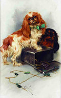 Illustrated Dog Book 2 088 Vintage Illustration A4 Photo Print