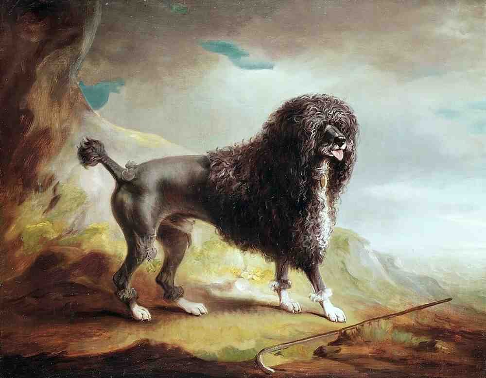 Illustrated Dog Book 2 089 Vintage Illustration A4 Photo Print