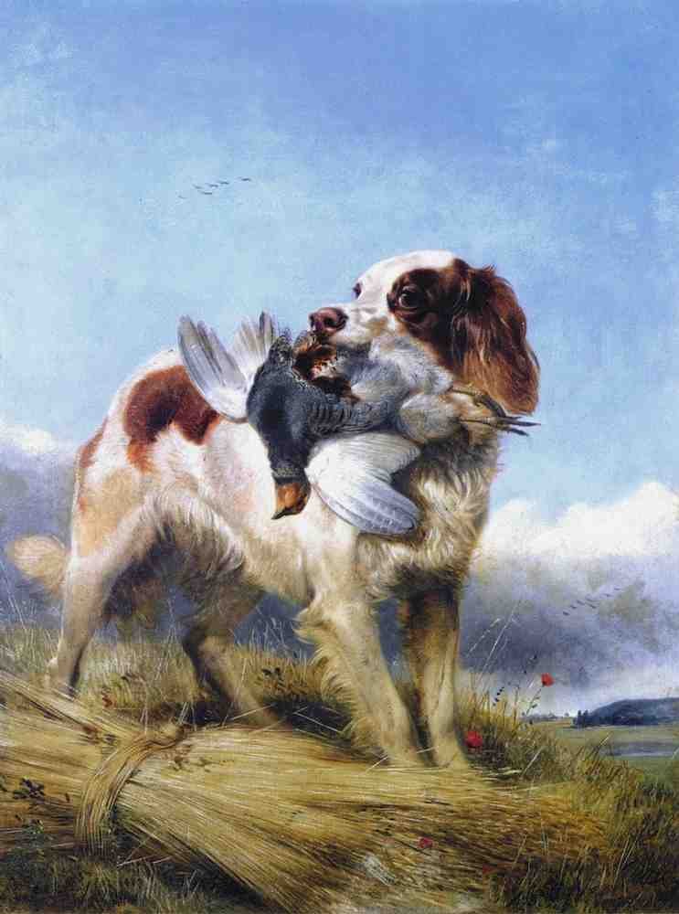 Illustrated Dog Book 2 091 Vintage Illustration A4 Photo Print