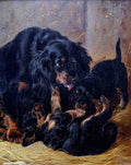 Illustrated Dog Book 2 092 Vintage Illustration A4 Photo Print