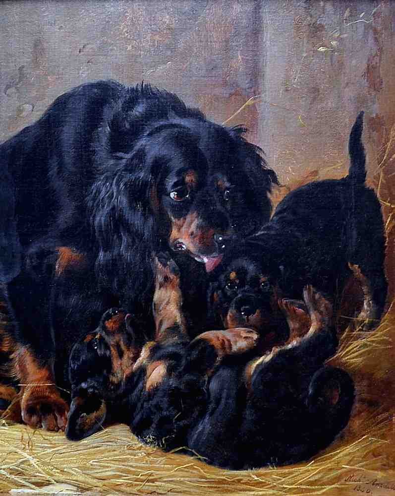 Illustrated Dog Book 2 092 Vintage Illustration A4 Photo Print
