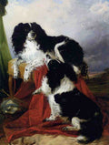 Illustrated Dog Book 2 094 Vintage Illustration A4 Photo Print