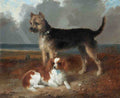 Illustrated Dog Book 2 096 Vintage Illustration A4 Photo Print
