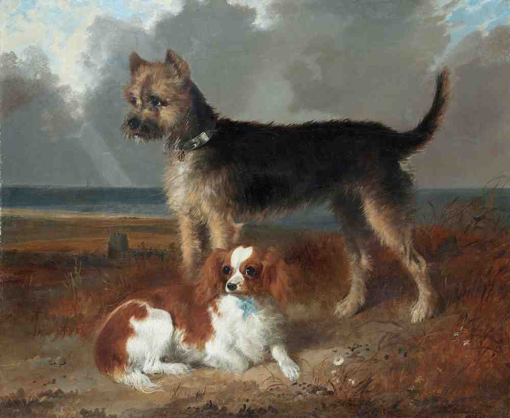 Illustrated Dog Book 2 096 Vintage Illustration A4 Photo Print
