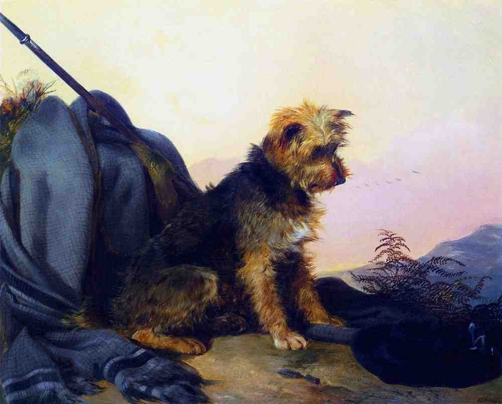 Illustrated Dog Book 2 098 Vintage Illustration A4 Photo Print