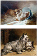 Illustrated Dog Book 2 101 Vintage Illustration A4 Photo Print