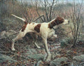 Illustrated Dog Book 2 103 Vintage Illustration A4 Photo Print