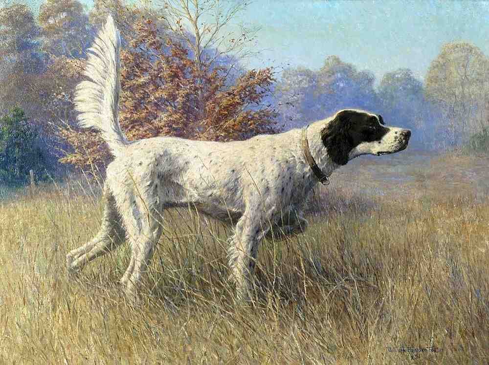 Illustrated Dog Book 2 104 Vintage Illustration A4 Photo Print