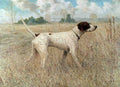 Illustrated Dog Book 2 105 Vintage Illustration A4 Photo Print