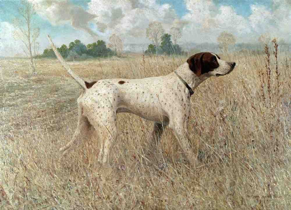 Illustrated Dog Book 2 105 Vintage Illustration A4 Photo Print