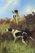 Illustrated Dog Book 2 107 Vintage Illustration A4 Photo Print
