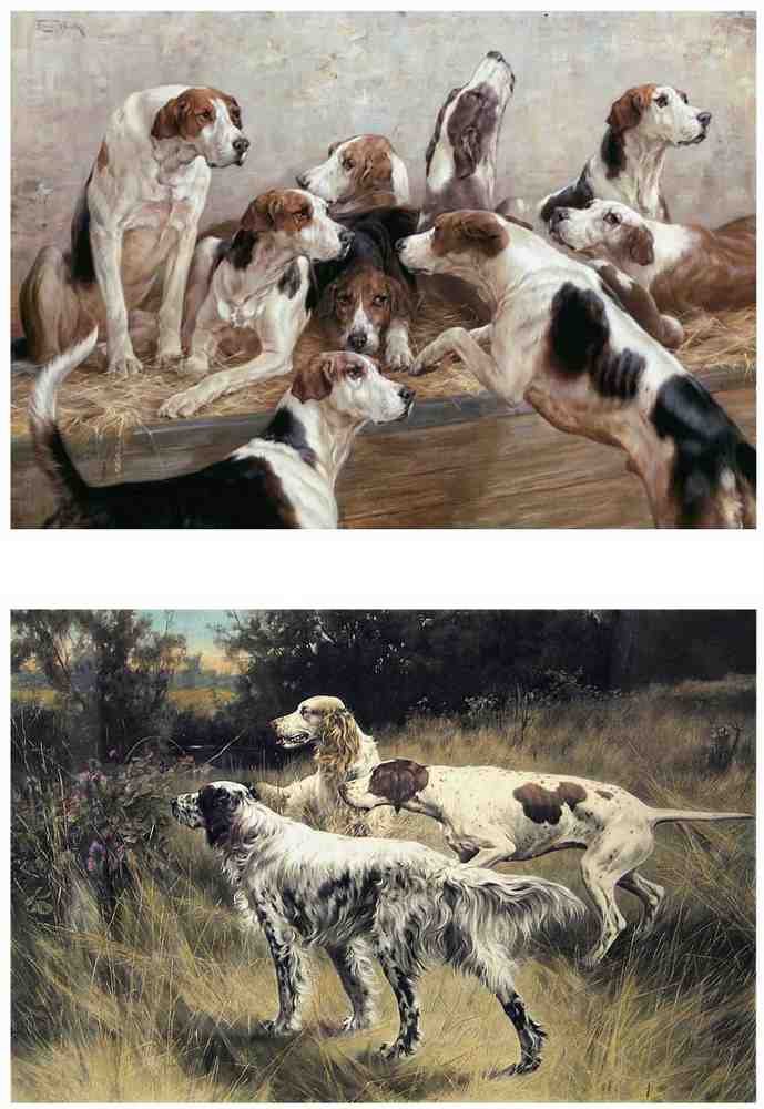 Illustrated Dog Book 2 108 Vintage Illustration A4 Photo Print