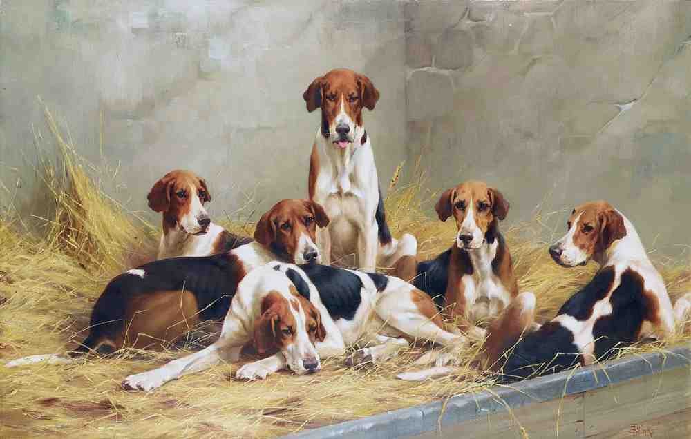 Illustrated Dog Book 2 109 Vintage Illustration A4 Photo Print