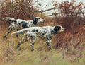 Illustrated Dog Book 2 110 Vintage Illustration A4 Photo Print