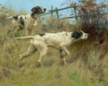Illustrated Dog Book 2 111 Vintage Illustration A4 Photo Print