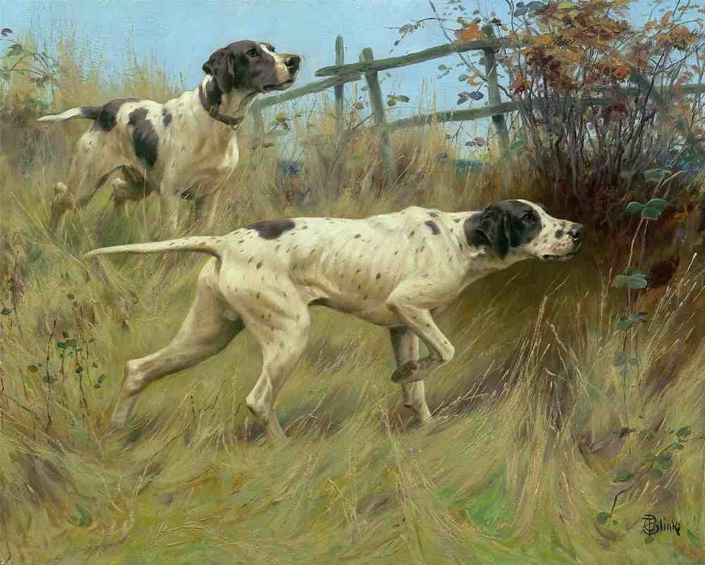 Illustrated Dog Book 2 111 Vintage Illustration A4 Photo Print
