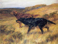 Illustrated Dog Book 2 113 Vintage Illustration A4 Photo Print