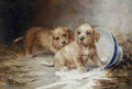 Illustrated Dog Book 2 115 Vintage Illustration A4 Photo Print