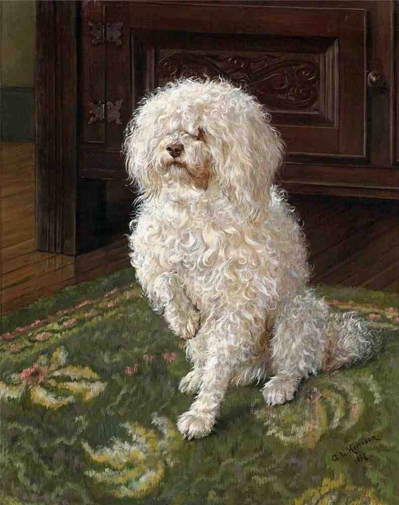 Illustrated Dog Book 2 119 Vintage Illustration A4 Photo Print