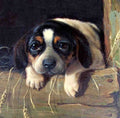 Illustrated Dog Book 2 122 Vintage Illustration A4 Photo Print