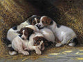 Illustrated Dog Book 2 123 Vintage Illustration A4 Photo Print