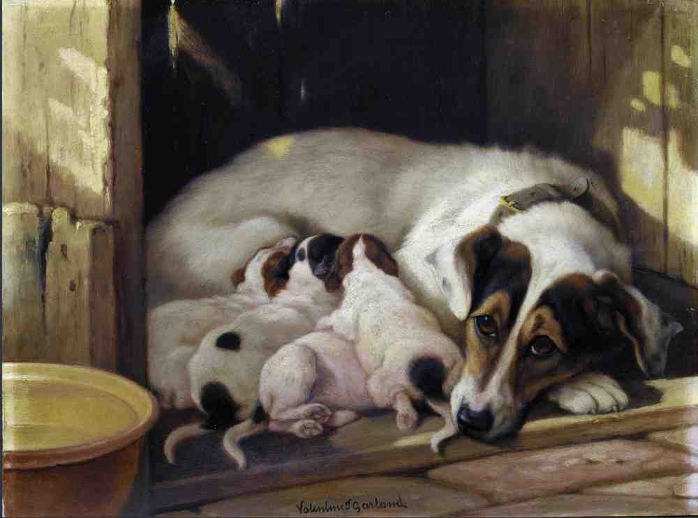 Illustrated Dog Book 2 124 Vintage Illustration A4 Photo Print