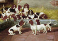 Illustrated Dog Book 2 126 Vintage Illustration A4 Photo Print