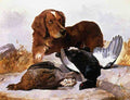 Illustrated Dog Book 2 129 Vintage Illustration A4 Photo Print