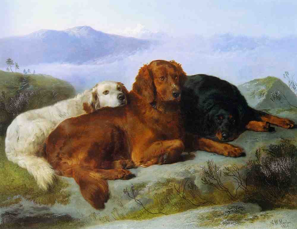 Illustrated Dog Book 2 130 Vintage Illustration A4 Photo Print