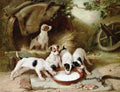 Illustrated Dog Book 2 133 Vintage Illustration A4 Photo Print
