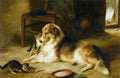 Illustrated Dog Book 2 137 Vintage Illustration A4 Photo Print