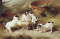 Illustrated Dog Book 2 141 Vintage Illustration A4 Photo Print