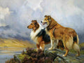 Illustrated Dog Book 2 146 Vintage Illustration A4 Photo Print