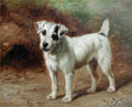 Illustrated Dog Book 2 147 Vintage Illustration A4 Photo Print