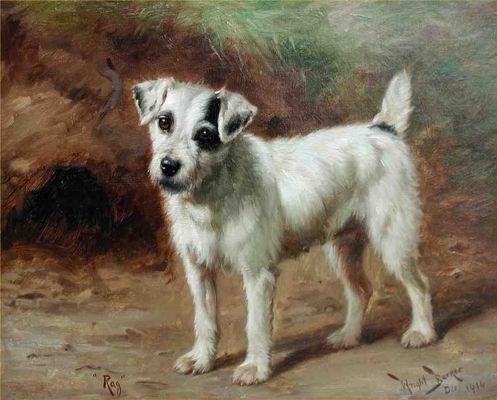 Illustrated Dog Book 2 147 Vintage Illustration A4 Photo Print