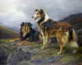 Illustrated Dog Book 2 148 Vintage Illustration A4 Photo Print