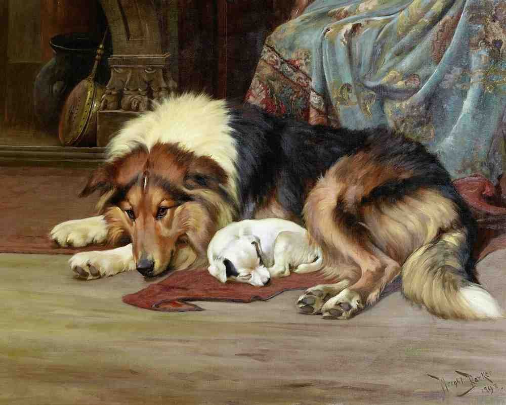 Illustrated Dog Book 2 150 Vintage Illustration A4 Photo Print