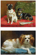 Illustrated Dog Book 2 152 Vintage Illustration A4 Photo Print
