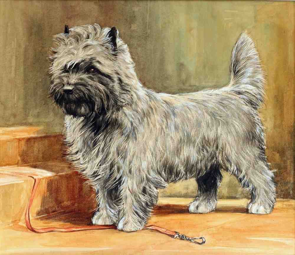 Illustrated Dog Book 2 153 Vintage Illustration A4 Photo Print