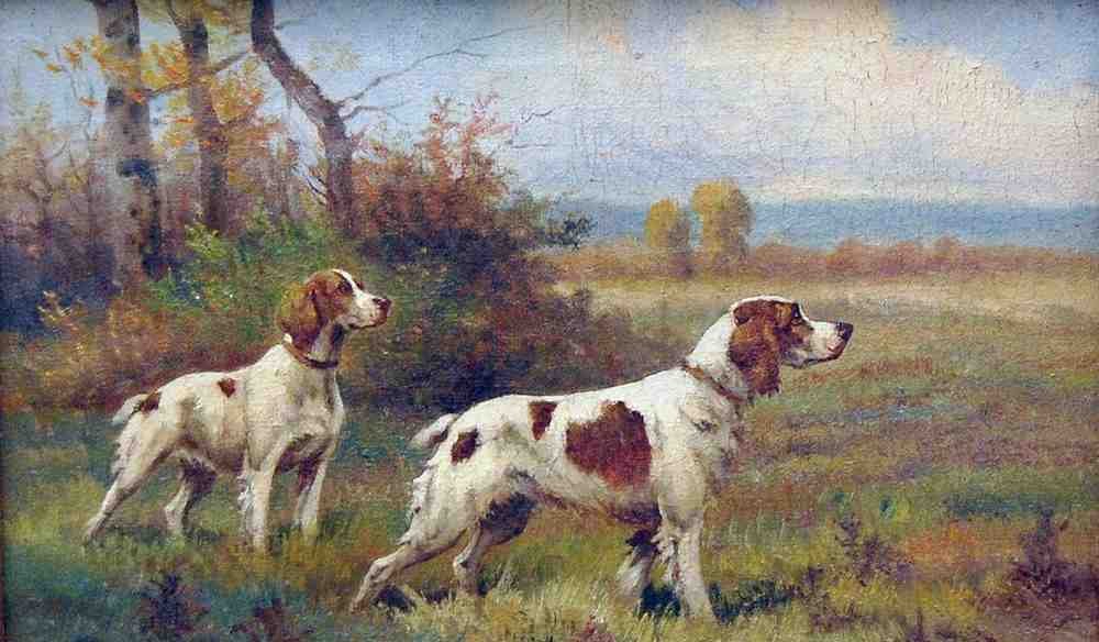 Illustrated Dog Book 2 154 Vintage Illustration A4 Photo Print