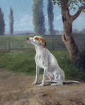Illustrated Dog Book 2 156 Vintage Illustration A4 Photo Print