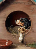 Illustrated Dog Book 2 159 Vintage Illustration A4 Photo Print