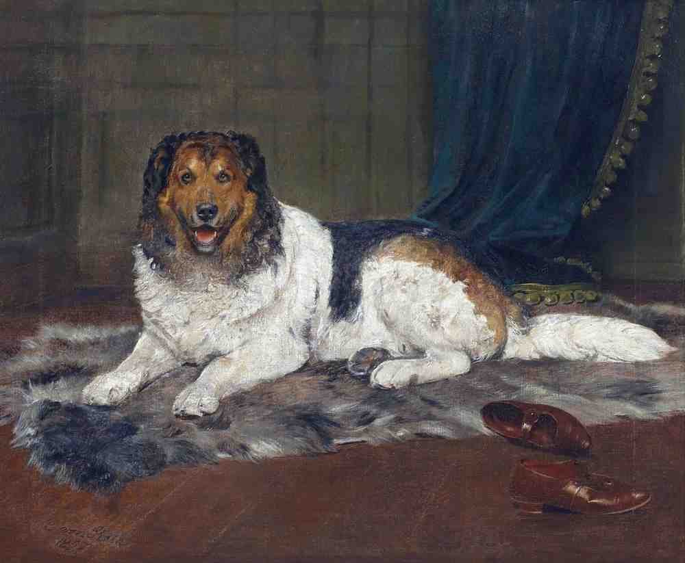 Illustrated Dog Book 2 164 Vintage Illustration A4 Photo Print