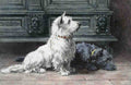Illustrated Dog Book 2 166 Vintage Illustration A4 Photo Print