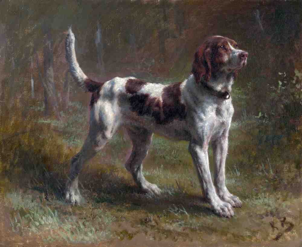 Illustrated Dog Book 2 169 Vintage Illustration A4 Photo Print