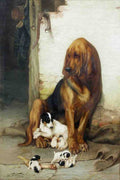 Illustrated Dog Book 2 171 Vintage Illustration A4 Photo Print